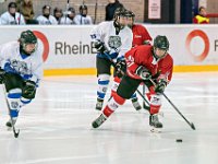DSC01273-1000