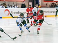 DSC01274-1000