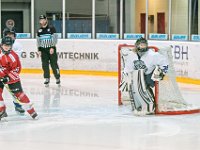 DSC01284-1000