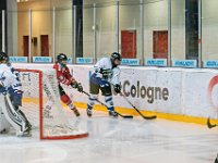DSC01286-1000