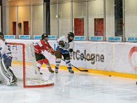 DSC01287-1000