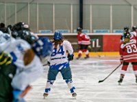 DSC01290-1000