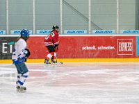 DSC01291-1000