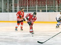 DSC01295-1000