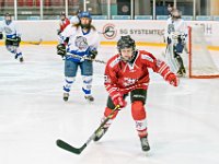 DSC01302-1000