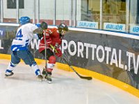 DSC01303-1000