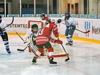 DSC01311-1000