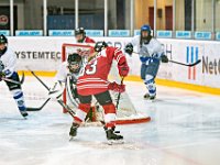 DSC01312-1000