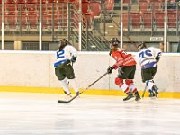 DSC01317-1000