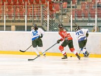 DSC01318-1000