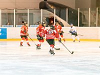 DSC01324-1000