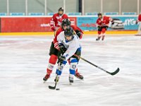 DSC01330-1000