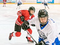 DSC01337-1000
