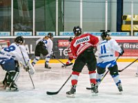 DSC01350-1000