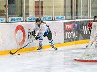 DSC01351-1000