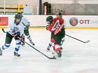 DSC01357-1000