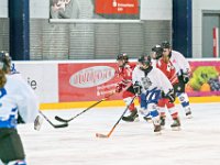 DSC01379-1000
