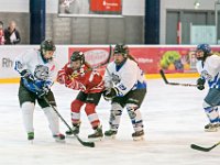 DSC01388-1000