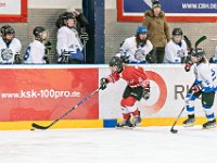 DSC01390-1000