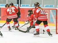 DSC01393-1000
