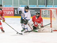 DSC01395-1000