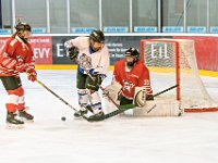 DSC01396-1000