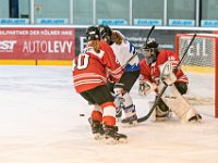 DSC01397-1000