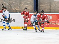 DSC01419-1000