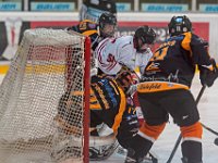 DSC01726-1500