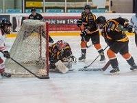 DSC01729-1500