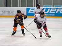 DSC01752-1500