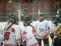 DSC03377-1500