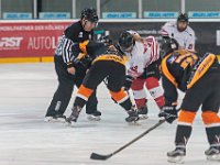 DSC03401-1500