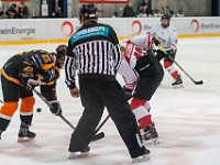 DSC03417-1500