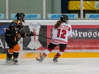 DSC03431-1500