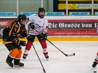 DSC03433-1500