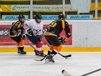 DSC03448-1500