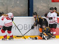 DSC03456-1500