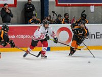 DSC03462-1500