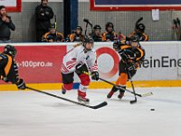 DSC03463-1500
