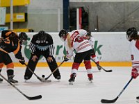 DSC03469-1500