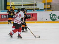 DSC03475-1500