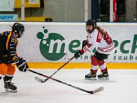DSC03485-1500