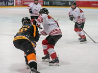 DSC03487-1500