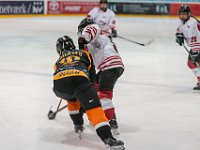 DSC03488-1500