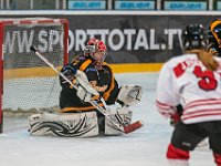 DSC03494-1500