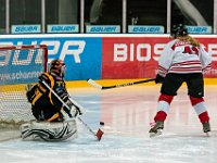 DSC03498-1500