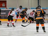 DSC03509-1500