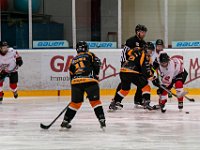 DSC03517-1500