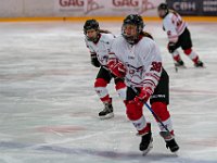 DSC03528-1500